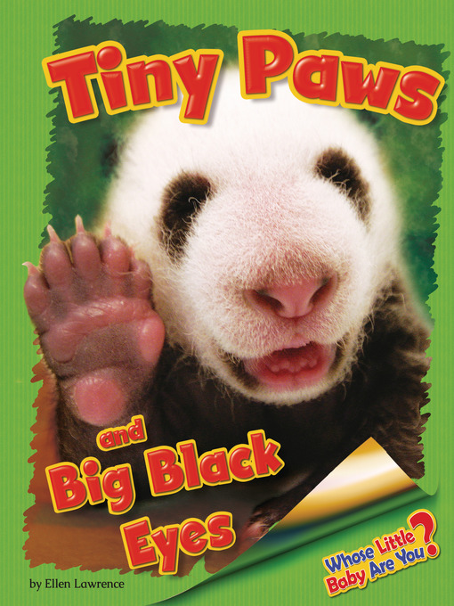 Cover image for Tiny Paws and Big Black Eyes (Giant Panda)